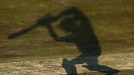 Italian Town bans Cricket
