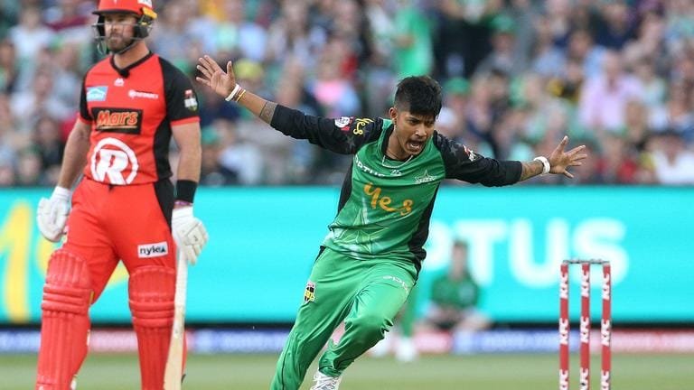 BBL 2024-25, Melbourne Renegades vs Melbourne Match Prediction