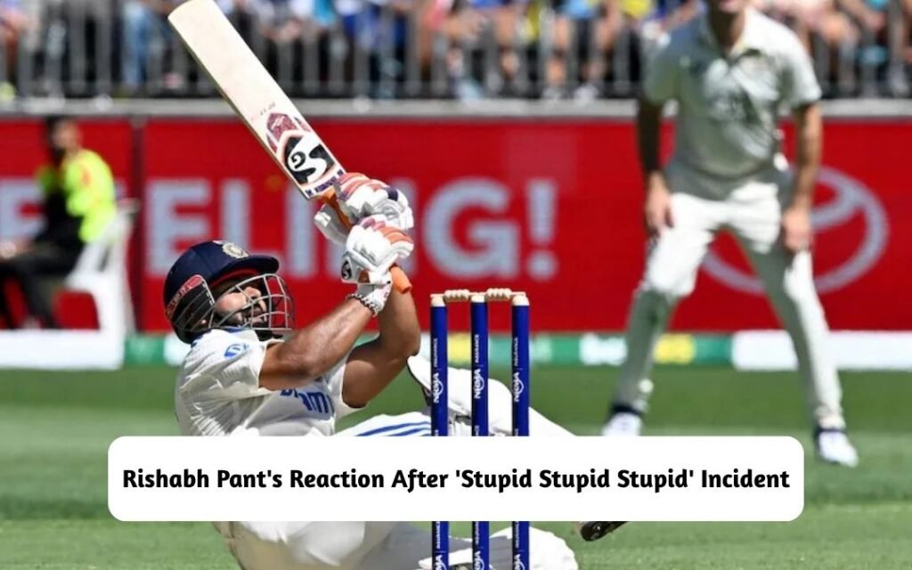 Rishabh Pant's Reaction After 'Stupid Stupid Stupid' Incident